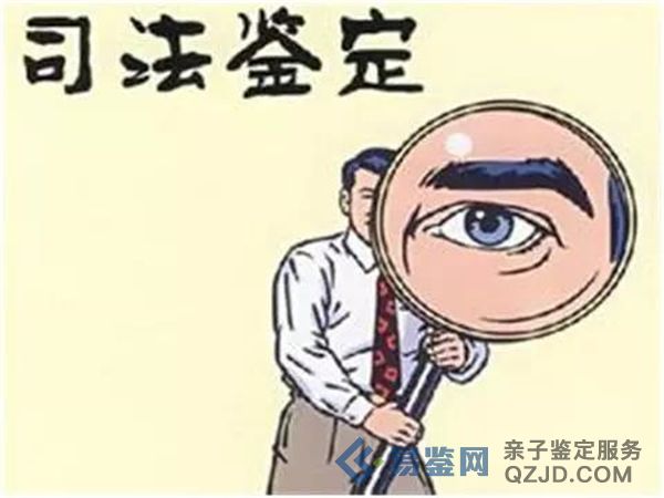 司法亲子鉴定收费标准大揭秘：你需要了解的一切
