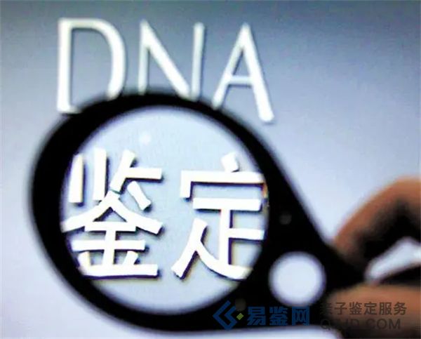 个人亲子鉴定全指南：必要材料和步骤详解