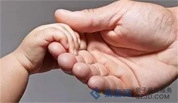 重磅来袭！亲子鉴定最新标准：相似度何值为