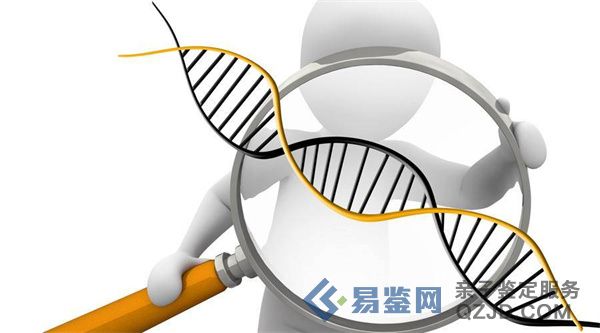 越了解，越亲近~温州亲子鉴定专业机构推荐