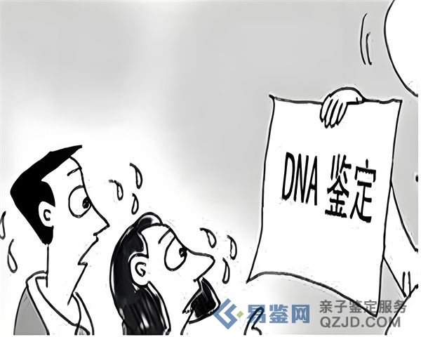 ca944a95-5547-49fd-836a-25c23ba983c2.jpg