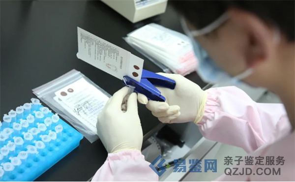 <strong>亲子鉴定的准确性，如何避免错误？</strong>