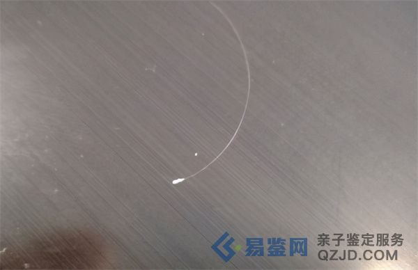 <strong>揭秘头发DNA鉴定的科学原理</strong>
