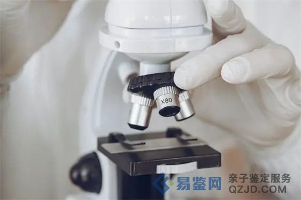 <strong>想知道亲子鉴定多久出结果吗？</strong>